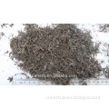 Dried Centipeda minima,Artemisia minima,Cotula orbicularis,Cotula minima,Myriogyne minuta,Sphaeromorphaea centiped